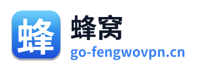 蜂窝VPN Logo